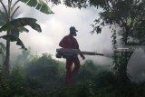 Petugas Puskesmas melakukan pengasapan (fogging) di Kelurahan Tamanan, Kota Kediri, Jawa Timur, Selasa (15/1/2019). Pengasapan di daerah endemik wabah deman berdarah dengue tersebut untuk memutus mata rantai perkembangbiakan nyamuk penyebar virus Aedes aegypti ke daerah sekitar. Antara Jatim/Prasetia Fauzani/ZK.