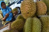 Penjual menata durian yang dijual di pasar musiman durian lokal di Pagotan, Madiun, Jawa Timur, Sabtu (12/1/2019). Buah durian lokal hasil produksi petani di kawasan lereng Gunung Wilis tersebut dijual antara Rp25.000 hingga Rp150.000 per buah tergantung ukuran dan kualitas buah. Antara Jatim/Siswowidodo/ZK