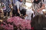 Ratusan pelayat hadiri pemakaman Tony Prasentiantono