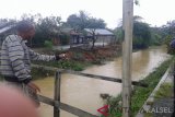 Siring Sungai Kandangan RT 10 Kelurahan Karang Jawa, Kecamatan Pelaihari, Tanah Laut ambruk akibat tergerus deras air, Selasa (22/1).Foto:Antaranews Kalsel/Arianto.
