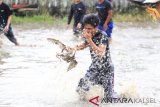 Lomba tangkap itik digelar dalam rangka memeriahkan program Manunggal Tuntung Pandang di Desa Handil Birayang Atas, Kecamatan Bumi Makmur, Kabupaten Tanah Laut, Kalimantan Selatan, Jum'at (25/1).Foto:Antaranews Kalsel/Arianto.