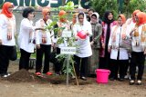 Ibu Negara Iriana Joko Widodo (tengah) bersama rombongan menanam bibit buah klengkeng di halaman Puskesmas Gitik di Banyuwangi, Jawa Timur, Senin (28/1/2019). Kunjungan kerja Ibu Negara bersama Organisasi Aksi Solidaritas Era Kabinet Kerja (OASE-KK) tersebut, dalam rangka mengkampanyekan gerakan gemar menanam dan mengkonsumsi buah lokal serta mengurangi sampah plastik dengan membagikan Tumbler dan 1500 bibit buah jeruk, klengkeng, dan mangga yang ditanam di sekolah-sekolah . Antara Jatim/Budi Candra Setya/ZK.