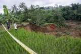 Warga melihat tebing yang longsor di Kampung Bojongkaung, Nagrak, Kabupaten Sukabumi, Jawa Barat, Selasa (15/01/2019). Hujan deras yang melanda wilayah tersebut menyebabkan tebing sepanjang 200 meter longsor serta mengakibatkan puluhan makam terseret dan tertimbun tanah longsor. ANTARA JABAR/Nurul Ramadhan/agr. 