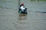 Pengendara mendorong motornya yang mogok di Jalan Raya yang terendam banjir di Porong, Sidoarjo, Jawa Timur, Minggu (20/1/2019). Banjir yang diakibatkan curah hujan tinggi sejak beberapa hari terakhir menyebabkan terganggunya aktivitas transportasi di Jalan Raya Porong. Antara Jatim/Umarul Faruq/ZK.