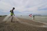 Nelayan pukat darat mencari ikan di pesisir pantai Juntinyuat, Indramayu, Jawa Barat, Jumat (4/1/2019). Nelayan mengeluhkan sepinya hasil tangkapan ikan karena banyaknya sampah di kawasan pesisir tersebut. ANTARA JABAR/Dedhez Anggara/agr. 