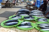 Penjual ikan di Puger, Jember, Jawa Timur, Selasa (29/1/2019). Ratusan nelayan tidak melaut akibat cuaca buruk yang berdampak naiknya harga ikan, sementara para nelayan memilih mengisi waktu dengan membersihkan jaring dan memperbaiki perahu. Antara Jatim/Seno/ZK.