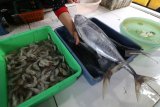 Pedagang menata ikan tuna di lapaknya yang sepi pembeli di area pasar tradisional Setonobetek, Kota Kediri, Jawa Timur, Rabu (23/1/2019). Pedagang mengaku tiga hari terakhir pasokan ikan laut dari pantai selatan Jawa hanya tersedia jenis tuna dengan jumlah terbatas karena cuaca ekstrim yang mengakibatkan kenaikan harga tuna dari normalnya Rp30.000 menjadi Rp40.000 per kilogram. Antara Jatim/Prasetia Fauzani/ZK