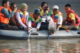 Direktur Keuangan, SDM dan Umum PT Terminal Teluk Lamong Wahyu Widodo (keempat kiri) dan Direktur Operasional & Teknik PT Terminal Teluk Lamong Rumaji (kedua kanan) melepaskan bibit ikan Nila di Sungai Kalimas, Surabaya, Jawa Timur, Minggu (13/1/2019). PT Pelindo III melepas sebanyak 15.000 bibit ikan Nila di Sungai Kalimas sebagai bentuk kepedulian terhadap lingkungan khususnya ekosistem sungai saat merayakan HUT bersama anak perusahaannya. Antara Jatim/Didik Suhartono/ZK