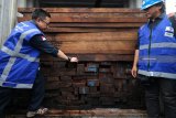 Petugas menunjukkan barang bukti kayu ilegal di Terminal Teluk Lamong, Surabaya, Jawa Timur, Rabu (16/1/2019). Direktorat Penegakkan Hukum Kementerian Lingkungan Hidup dan Kehutanan (Ditjen Gakkum LHK) bersama dengan Komando Armada II (Detasemen Intelijen) dan Bareskrim Mabes Polri berhasil mengamankan 199 kontainer kayu illegal dari Papua yang diangkut KM Selat Mas (TEMAS) di Pelabuhan Teluk Lamong, Surabaya. Antara Jatim/Didik Suhartono/ZK.