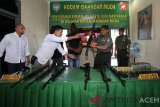 Panglima Kodam Iskandar Muda Mayjen TNI Teguh Arief Indratmoko (dua kanan) memeriksa senjata api yang diserahkan warga di Mako Detasemen Intel (Denitel) Lampineung, Banda Aceh, Aceh, Kamis (3/1/2019). Dua warga dengan sukarela menyerahkan delapan pucuk senjata api, 10 megazen dan 800 butir peluru sisa konflik Aceh kepada Kodam Iskandar Muda. (Antara Aceh/Irwansyah Putra)