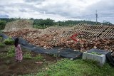 Warga melihat kandang ayam yang roboh akibat diterjang angin puting beliung di Kampung Cibarengkok, Nagrak, Kabupaten Sukabumi, Jawa Barat, Rabu (16/01/2019). Angin puting beliung yang melanda wilayah Kecamatan Nagrak tersebut membuat sekitar 83 rumah dan beberapa kandang ayam rusak. ANTARA JABAR/Nurul Ramadhan/agr. 