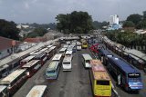 Sejumlah bus antar kota antar provinsi menunggu penumpang di Terminal Baranangsiang, Kota Bogor, Jawa Barat, Senin (7/1/2019). Menurut  Badan Pengelolaan Transportasi Jabodetabek (BPTJ) dalam perencanaannya awal 2019 revitalisasi terminal Baranangsiang baru bisa dimulai, dan nantinya revitalisasi terminal Baranangsiang akan dibuat sebagai kawasan Transit Oriented Development (TOD). ANTARA JABAR/Yulius Satria Wijaya/agr.