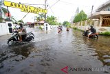 Pengendara melintasi jalan yang tergenang air akibat buruknya drainase di jalan Arjuna,Banjarmasin, Kalimantan Selatan, Senin (14/1/2019).Curah hujan yang cukup tinggi mengguyur kota Banjarmasin dan buruknya drainase membuat sejumlah ruas jalan tergenang cukup lama.Foto Antaranews Kalsel/Bayu Pratama S/f.