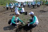 Warga menanam pohon cemara di Pantai Cemara, Banyuwangi, Jawa Timur, Minggu (27/1/2019). Penanaman 20 ribu bibit pohon cemara udang bersama PT Pertamina (persero) tersebut, selain sebagai penahan abrasi air laut dan ruang hijau yang menjadi tempat berlindung satwa, juga menjadi daya tarik wisatawan. Antara Jatim/Budi Candra Setya/Zk