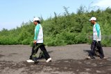 Pengelolah Wisata Pantai membawa pohon cemara yang akan ditanam di Pantai Cemara, Banyuwangi, Jawa Timur, Minggu (27/1/2019). Penanaman 20 ribu bibit pohon cemara udang bersama PT Pertamina (persero) tersebut, selain sebagai penahan abrasi air laut dan ruang hijau yang menjadi tempat berlindung satwa, juga menjadi daya tarik wisatawan. Antara Jatim/Budi Candra Setya/Zk