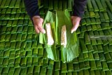 Perajin memeriksa kondisi tempe yang dibuat menggunakan kemasan daun pisang di Gintangan, Banyuwangi, Jawa Timur, Kamis (10/1/2019). Tempe menggunakan daun pisang sebagai kemasan yang dijual mulai harga Rp250-Rp500 itu tetap dipertahankan karena faktor cita rasa, kesehatan dan ramah lingkungan dibandingkan menggunakan plastik. Antara Jatim/Budi Candra Setya/ZK