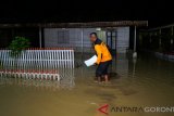 Petugas Badan Penanggulangan Bencana Daerah (BPBD) memeriksa kondisi rumah yang tergenang banjir di Tilamuta, Kabupaten Boalemo, Gorontalo, Senin (28/1/2019) dini hari. Banjir yang disebabkan oleh meluapnya sungai Ayuhulalo dan air dari daerah perbukitan tersebut merendam wilayah Kecamatan Tilamuta, Wonosari, Dulupi dan Botumoito. ANTARA FOTO/Adiwinata Solihin/aww.