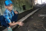 Sukarnoto, membudidayakan cacing merah (Lumbricus rubellus) di Dusun Rejosari, Desa Gedangan, Kecamatan Mojowarno, Kabupaten Jombang, Selasa (15/1/2019). Cacing merah itu nantinya digunakan sebagai bahan baku obat dan kosmetik, dijual dengan harga Rp 25 ribu per kilogramnya. Antara Jatim/Syaiful Arif/ZK.