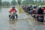 Pengendara mendorong motornya yang mogok di Jalan Raya yang terendam banjir di Porong, Sidoarjo, Jawa Timur, Minggu (20/1/2019). Banjir yang diakibatkan curah hujan tinggi sejak beberapa hari terakhir menyebabkan terganggunya aktivitas transportasi di Jalan Raya Porong. Antara Jatim/Umarul Faruq/ZK.