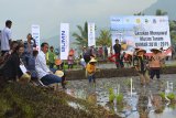 Presiden Joko Widodo (kedua kiri) didampingi Menteri BUMN Rini Soemarno (kiri) meninjau petani menanam padi pada Gerakan Mengawal Musim Tanam (GGMT) Oktober-Maret (OKMAR) 2018/2019 di Desa Leuwigoong, Kabupaten Garut, Jawa Barat, Sabtu (19/1/2019). GMMT OKMAR 2018/2019 merupakan sinergi antara BNI dengan Kementerian Pertanian untuk memastikan seluruh kegiatan produksi petani dapat dikawal sedini mungkin dalam hal penyediaan seluruh sarana dan prasarana produksi pertanian meliputi pelaksanaan Padat Karya Tunai Normalisasi Saluran Irigasi, Penyaluran KUR dan Kartu Tani serta kegiatan Tanam Massal. ANTARA JABAR/Adeng Bustomi/agr. 