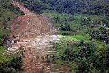 BNPB: lokasi longsor Sukabumi seharusnya untuk konservasi