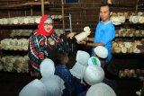 Bunda PAUD Kota Banjarbaru Hj Ririen Nadjmi Adhani menghadiri kegiatan puncak tema tanaman (tanaman sayur-sayuran) anak-anak PAUD IT Puspa Bangsa Jalan Jeruk Kelurahan Sungai Ulin Banjarbaru, Kamis (17 Januari 2019).  Anak-anak
PAUD IT Puspa Bangsa ini berkunjung ke Rumah Jamur Kuranji Jalan Achmad Yani Km 28 Kuranji Kelurahan Guntung Manggis Kota Banjarbaru.Foto Antaranews Kalsel/hms/f