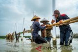 Uji coba struktur perangkap sedimen