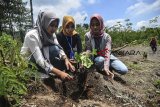 Jurnalis yang tergabung dalam Perkumpulan Jurnalis Tasikmalaya (PJT) menanam benih pohon Kemiri dan Kopi di Kawasan Wisata Gunung Galunggung Kabupaten Tasikmalaya, Jawa Barat, Kamis (7/2/2019). Kegiatan yang diadakan menjelang peringatan Hari Pers Nasional pada 9 Februari 2019 itu merupakan kepedulian untuk menjaga serta melestarikan lingkungan alam sekitar. ANTARA JABAR/Adeng Bustomi/agr.