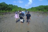 Direktur Organization for Industry  Spiritual Culture and Advancement (OISCA) International Yutaka Nakagaki (kiri)  bersama komunitas pecinta lingkungan 'Sabuk Hijau' memantau pertumbuhan pohon mangrove di Desa Lembung, Pamekasan, Jawa Timur, Kamis (7/2/2019). OISCA secara rutin  sejak tahun 2010  lalu melakukan pemantauan terhadap  pohon mangrove di daerah itu. Antara Jatim/Saiful Bahri/ZK.