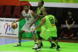 Pebasket Pelita Jaya, Nate Barefield (kiri) berusaha menerobos hadangan pebasket Pacific Caesar Surabaya, Calhoun Qa'rraan Aleem (tengah) dan Okky Arista (kanan)  dalam pertandingan Indonesian Basketball League (IBL) Pertamax Seri VII di GOR Bimasakti, Malang, Jawa Timur, Jumat(8/2/2019). Pelita Jaya mengalahkan Pacific Caesar dengan skor akhir 76-68. Antara Jatim/Ari Bowo Sucipto/ZK.