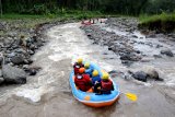 Wisatawan berpetualang arung jeram mengarungi sungai X Badeng di Songgon, Banyuwangi,Jawa Timur, Jumat (8/2/2019). Wisata Arung Jeram di Sungai X Badeng kembali beroperasi, setelah sebelumnya terganggu akibat tanah longsor di Gunung Pendil yang mengakibatkan pendangkalan debit air di sungai itu. Antara Jatim/Budi Candra Setya/ZK.