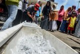 Petugas gabungan Dinas Pertanian dan Perikanan, Badan Karantina Ikan Bandung serta Dinas Kesehatan, membagikan ikan cupang gratis kepada warga untuk mengantisipasi jentik nyamuk di Perum Kota Baru, Cibeurem, Kota Tasikmalaya, Jawa Barat, Jumat (8/2/2019). Dinas Kesehatan Kota Tasikmalaya mencatat 64 warga positif terjangkit Demam Berdarah Dengue (DBD) diantaranya lima orang meninggal dunia akibat virus yang ditularkan nyamuk Aedes Aegypti. (ANTARA FOTO)