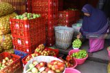 Pedagang menimbang kantong berisi apel malang jenis manalagi di sebuah gudang buah di Pujon, Malang, Jawa Timur, Sabtu (9/2/2019).Petani apel setempat mengeluhkan anjloknya harga apel malang terutama jenis manalagi dan anna dari Rp.8.000 per kilogram menjadi Rp.4.000 per kilogram akibat serbuan apel impor di pasaran. Antara Jatim/Ari Bowo Sucipto/ZK.