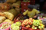 Pekerja menata tumpukan karung berisi apel malang jenis manalagi di sebuah gudang buah di Pujon, Malang, Jawa Timur, Sabtu (9/2/2019). Petani apel setempat mengeluhkan anjloknya harga apel malang terutama jenis manalagi dan anna dari Rp.8.000 per kilogram menjadi Rp.4.000 per kilogram akibat serbuan apel impor di pasaran. Antara Jatim/Ari Bowo Sucipto/ZK.