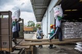 Pekerja mengangkat kantong pupuk bersubsidi di Gudang Lini III Pasir Hayam, Cianjur, Jawa Barat, Jumat (8/2/2019). Direktur Utama Pupuk Indonesia Aas Asikin Idat mengatakan stok pupuk bersubsidi di Jawa Barat mencapai 151.252 ton atau tiga kali lipat dari ketentuan minimum yang ditetapkan Pemerintah, jumlah tersebut terdiri dari 51.968 ton Urea, 54.438 ton NPK, 22.966 ton SP-36, 12.111 ton ZA dan 9.770 ton Organik. ANTARA JABAR/Nurul Ramadhan/agr.