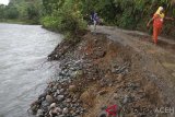 Sejumlah warga melintas di samping jalan lintas antar Desa Jambak dan Desa Sikundo yang tergerus erosi di daerah Desa Jambak, Kecamatan Pante Ceureumen, Aceh Barat, Aceh, Jumat (8/2/2019). Jalan lintas antar desa tersebut terancam putus akibat derasnya aliran sungai apabila tidak segera ditangani oleh pihak terkait. (Antara Aceh/Syifa Yulinnas)