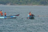 Tim SAR gabungan melakukan pencarian korban terseret ombak dengan menyelam menggunakan alat bantu pernafasan kompresor di Pantai Payangan, Ambulu, Jember, Jawa Timur, Senin (11/2/2019). Empat orang wisatawan asal Kabupaten Jombang, Jawa Timur, terseret ombak Pantai Payangan, mengakibatkan dua orang meninggal, satu dalam pencarian dan satu orang selamat. Antara Jatim/Seno/ZK.