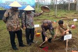 Menjadikan kopi sebagai tanaman konservasi di Banjarnegara