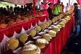 Panitia (kanan) memeriksa buah durian saat acara Festival Durian Lokal di Serang, Banten, Selasa (12/2/2019). Festival yang digelar Dinas Pertanian Provinsi Banten itu bertujuan untuk meningkatkan semangat para petani durian sekaligus memacu angka konsumsi buah lokal di kalangan masyarakat. (ANTARA FOTO)