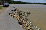 Pengendara kendaraan melintasi jalan rusak akibat abrasi di Bantaran Sungai Konaweha, Desa Lalimbue, Kecamatan Kapoiala, Kabupaten Konawe, Sulawesi Tenggara, Selasa (12/2/2019). Sebagian warga memilih membongkar rumahnya di sekitar bantaran Sungai Konaweha karena takut tidak ada yang bisa diselamatkan saat air sungai meluap dan untuk sementara akses jalan menuju tiga desa di wilayah itu rusak akibat abrasi. (ANTARA FOTO)