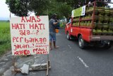 Warga memperbaiki jalan yang rusak di Desa Cangkring, Jenggawah, Jember, Jawa Timur, Rabu (13/2/2019). Warga Desa Cangkring bergotong royong secara swadaya untuk melakukan perbaikan jalan kabupaten sepanjang 5 Km karena berlubang yang sering menyebabkan kecelakaan sampai merenggut empat korban jiwa dalam dua bulan terakhir. Antara Jatim/Seno/ZK.