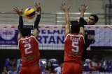 Pebola voli putra Jakarta Pertamina Energi, Doni Haryono (kanan) melakukan smes yang berusaha ditahan pebola voli putra  Palembang Bank Sumsel Babelirmansyah (kiri)  dalam pertandingan Final Four Proliga 2019 di GOR Ken Arok, Malang, Jawa Timur, Jumat (15/2/2019).Jakarta Pertamina  mengalahkan Palembang Bank Sumsel dengan skor 3-0 (25-20, 25-22, 25-21). Antara Jatim/Ari Bowo Sucipto/ZK.