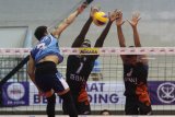 Pebola voli putra Palembang Bank Sumsel Babel, I Nyoman Julianta (kiri) melakukan smes yang berusaha ditahan pebola voli Jakarta BNI 46, Osmel Camejo Durruthy (tengah) dan Okky Damar (kanan) dalam pertandingan Final Four Proliga 2019 di GOR Ken Arok, Malang, Jawa Timur, Sabtu (16/2/2019). Tim voli putra Jakarta BNI 46 mengalahkan Palembang Bank Sumsel Babel dengan skor 3-1 (33-31, 21-25, 25-15, 25-18). Antara Jatim/Ari Bowo Sucipto/ZK.