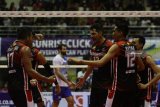 Pebola voli putra Surabaya Bhayangkara Samator melakukan selebrasi usai mengalahkan Jakarta Pertamina Energi dalam pertandingan Final Four Proliga  2019 di GOR Ken Arok, Malang, Jawa Timur, Sabtu  (16/2/2019). Surabaya Samator mengalahkan Jakarta Pertamina Energi dengan skor 3-0 (25-23, 25-22, 25-17). Antara Jatim/Ari Bowo Sucipto/ZK