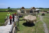 Pengunjung berjalan di Kampung Wisata  Karang Kenek, Desa Olean, Situbondo, Jawa Timur, Minggu (17/2/2019). Kampung Wisata tersebut merupakan kampung wisata di dekat permukiman kecil berisi 26 KK di Desa Olean yang dibangun memakai Dana Desa, bertujuan memajukan desa setempat. Antara Jatim/Seno/ZK.