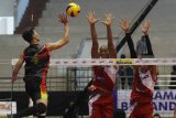 Pebola voli putra Palembang Bank Sumsel Babel, Dimas Saputra (kiri) melakukan smes yang berusaha ditahan pebola voli Surabaya Bhayangkara Samator, Yosvani Gonzales Nicholas (tengah) dan Yuda Mardiansyah (kanan) dalam pertandingan Final Four Proliga 2019 di GOR Ken Arok, Malang, Jawa Timur, Minggu (17/2/2019). Surabaya Bhayangkara Samator  berhak lolos ke Grand Final setelah mengalahkan Palembang Bank Sumsel Babel dengan skor 3-0 (25-21, 25-20, 25-23). Antara Jatim/Ari Bowo Sucipto/ZK.