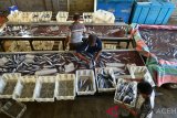 Pekerja mensortir ikan tongkol saat proses pengiriman untuk ekspor di usaha pengolahan ikan, Desa Punge Blang Cut, Banda Aceh, Rabu (20/2/2019). Pengusaha pengolahan ikan menyatakan ekspor ikan ke Jepang terhenti akibat kenaikan biaya kargo udara dari Rp22.000 perkilogran naik menjadi Rp60.000 perkilogram. (Antara Aceh/Ampelsa)