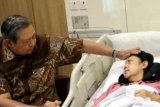 Selebritas sampaikan duka cita kepergian Ani Yudhoyono