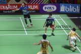 Pebulu tangkis ganda putra dari tim Djarum Kudus Kevin Sanjaya (kedua kanan) dan Mohamad Ahsan (kiri) mengembalikan shuttle kok saat bertanding melawan pebulu tangkis ganda putra dari tim Hitachi Jepang Keiichiro Matsui dan Yoshinori Takeuchi dalam laga penyisihan Djarum Superliga Badminton 2019 di Sasana Budaya Ganesha (Sabuga), Bandung, Jawa Barat, Rabu (20/2/2019). Pertandingan tersebut dimenangkan oleh pebulu tangkis ganda putra dari tim Djarum Kudus Kevin Sanjaya dan Mohamad Ahsan dengan skor 21-11, 21-18. ANTARA JABAR/Raisan Al Farisi/agr.