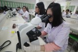 Mahasiswa fakultas kedokteran Universitas Surabaya (Ubaya) meneliti sputum atau dahak saat praktikum di Laboratorium Mikrobiologi Fakultas Kedokteran Ubaya di Surabaya, Jawa Timur, Kamis (21/2/2019). Penelitian tersebut bertujuan untuk mengenali dan mendeteksi adanya bakteri Tuberculosis (TBC) yang merupakan penyakit menular serta menyebabkan masalah kesehatan bahkan kematian bagi masyarakat di Indonesia dengan cara pemeriksaan Basil Tahan Asam (BTA) pada dahak. Antara Jatim/Moch Asim/ZK.